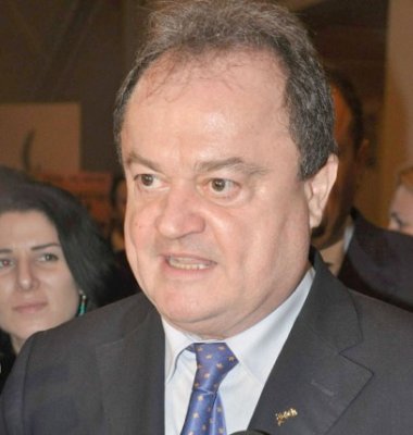 Vasile Blaga: Elena Udrea confundă PDL cu PSD
